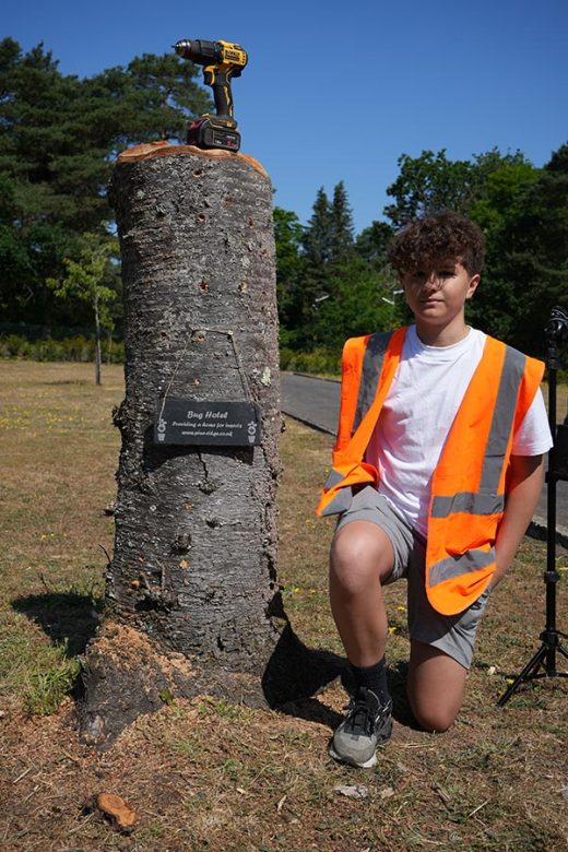 Pine Ridge making a bug hotel