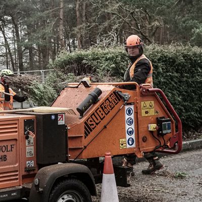 Hedge Row Removal