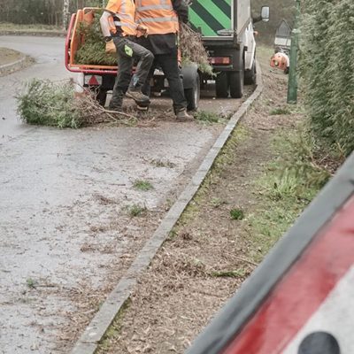 Hedge Row Removal