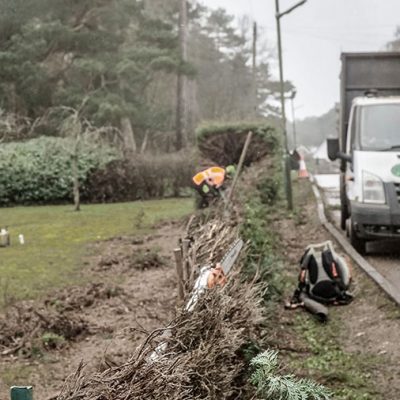 Hedge Row Removal