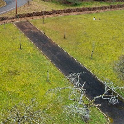 Hedge Row Removal