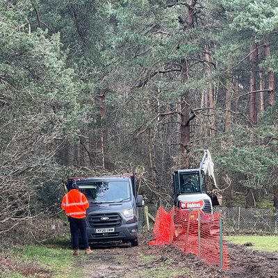 Hedge Row Removal