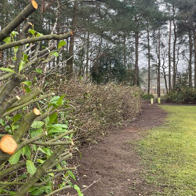 Bordon Military Cemetery trimming the fence