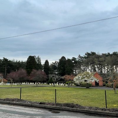 Fencing Removal and Rabbit Netting