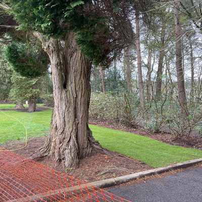 Bordon Military Cemetery turf and hedge