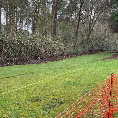 Bordon Military Cemetery turf and hedge