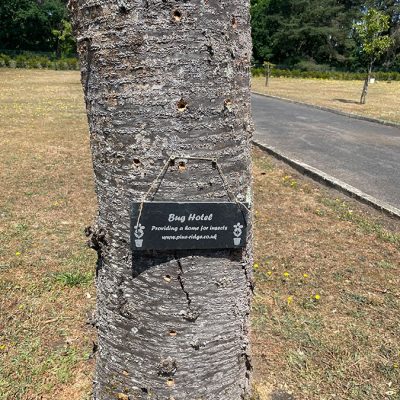 The Bug Hotel